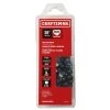 CRAFTSMAN Chainsaws & Pole Saws 20-in 78 Link Replacement Chainsaw Chain