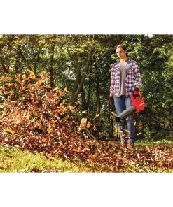 CRAFTSMAN Leaf Blowers V20 20-volt Max 350-CFM Brushless Handheld Cordless Electric Leaf Blower (Battery Included) -Outdoor Tools Online Shop 14206871