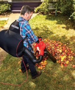CRAFTSMAN Leaf Blowers 12-Amp 450-CFM 260-MPH Corded Electric Leaf Blower (Vacuum Kit Included) -Outdoor Tools Online Shop 15280306