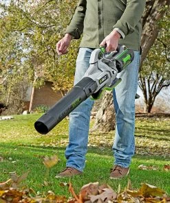 EGO Leaf Blowers POWER+ 56-volt 650-CFM Brushless Handheld Cordless Electric Leaf Blower 5 Ah (Battery & Charger Included) -Outdoor Tools Online Shop 16495571