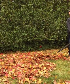 CRAFTSMAN Leaf Blowers 12-Amp 450-CFM 260-MPH Corded Electric Leaf Blower (Vacuum Kit Included) -Outdoor Tools Online Shop 17124961