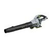 EGO Leaf Blowers POWER+ 56-volt 650-CFM Brushless Handheld Cordless Electric Leaf Blower (Tool Only)