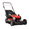CRAFTSMAN Lawn Mowers M220 150-cc 21-in Gas Push Lawn Mower Briggs & Stratton Engine