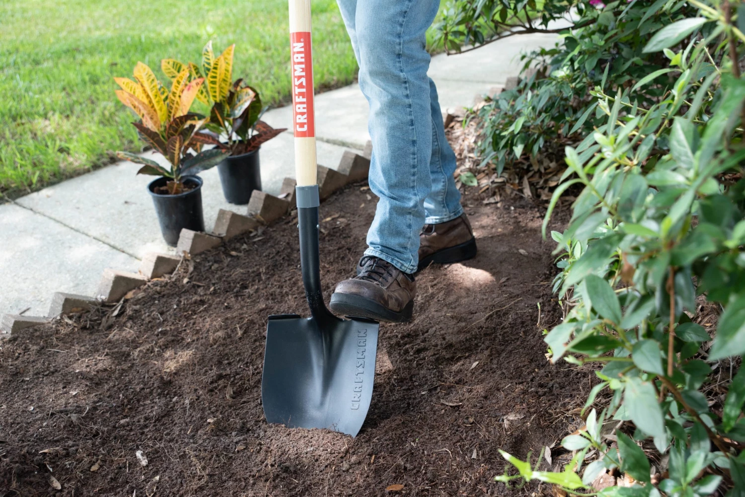 CRAFTSMAN Lawn & Garden Hand Tools 55-in Wood Handle Digging Shovel 4 CRAFTSMAN Lawn & Garden Hand Tools 55-in Wood Handle Digging Shovel - Image 4