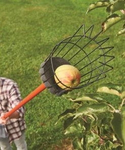 CRAFTSMAN Lawn & Garden Hand Tools Fruit Picker 8 CRAFTSMAN Lawn & Garden Hand Tools Fruit Picker -Outdoor Tools Online Shop 42278617