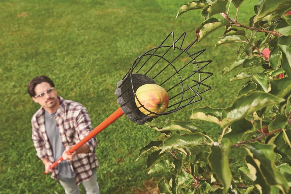 CRAFTSMAN Lawn & Garden Hand Tools Fruit Picker 3 CRAFTSMAN Lawn & Garden Hand Tools Fruit Picker - Image 3