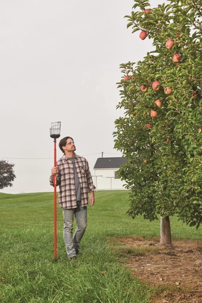 CRAFTSMAN Lawn & Garden Hand Tools Fruit Picker 5 CRAFTSMAN Lawn & Garden Hand Tools Fruit Picker - Image 5