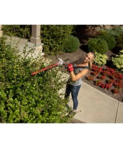 CRAFTSMAN Trimmers & Edgers HT2200 25-cc 2-cycle 22-in Dual-Blade Gas Hedge Trimmer -Outdoor Tools Online Shop 42383243