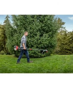 CRAFTSMAN Trimmers & Edgers WS4200 30-cc 4-Cycle 17-in Straight Shaft Gas String Trimmer with Attachment Capable and Edger Capable -Outdoor Tools Online Shop 42511863