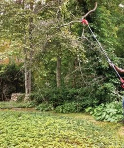 CRAFTSMAN Chainsaws & Pole Saws V20 20-Volt 8-in Cordless Electric Pole Saw (Battery Not Included) -Outdoor Tools Online Shop 43185815